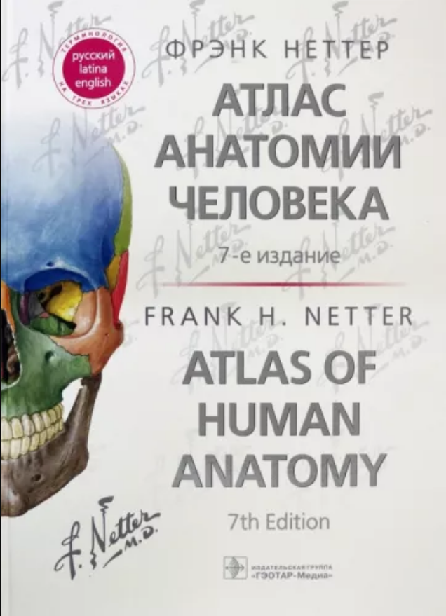 Книга Атлас по анатомии Фрэнк Неттер 7 и 6 издания