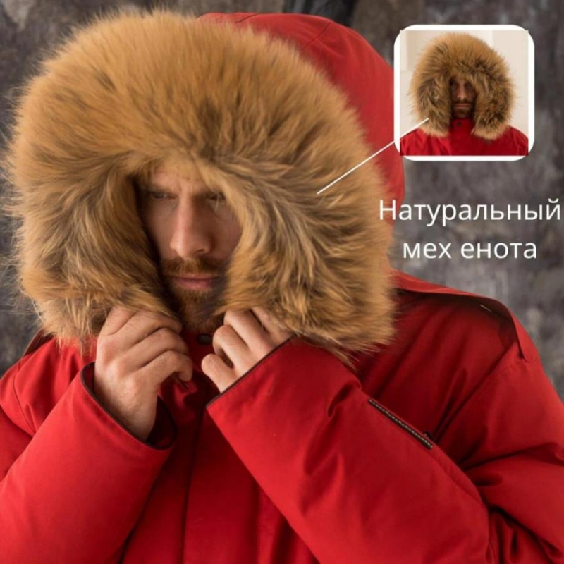 Mx oya a ao  ooe LADY FO