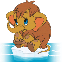 ���� ���� ��� �� ������ �� �����, ���� ���� �������� ����