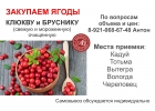 Закупим ягоды брусники, клюквы, рябины, облепихи