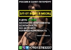 Работа для девушек в Санкт-Петербурге