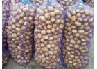 Картофель